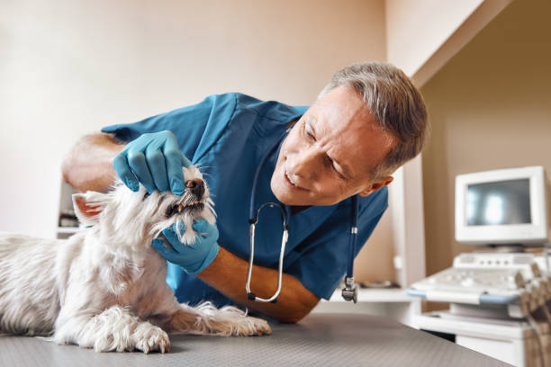 Best After-Hours Dental Trauma Care in Fairfax, OK